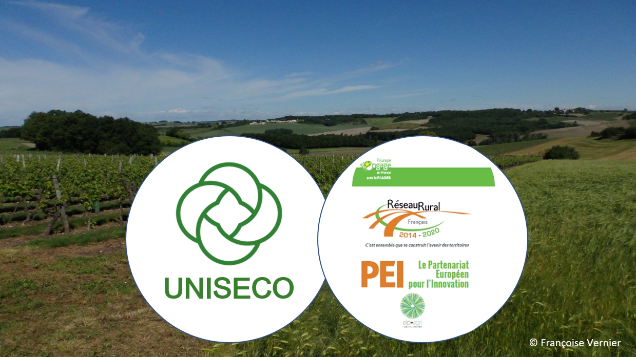 UNISECO discussed at French EIP Committee meeting
