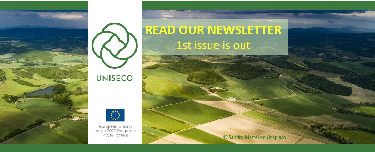 UNISECO 1st newsletter is out