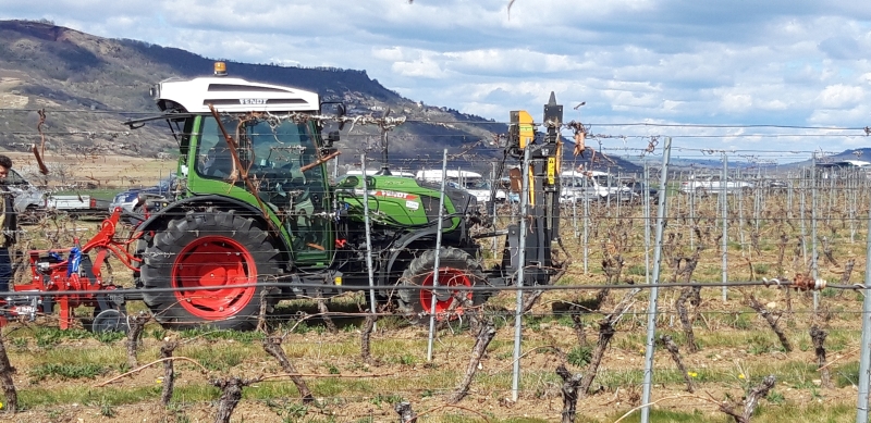 The French case study : Network of grape production in CUMAS