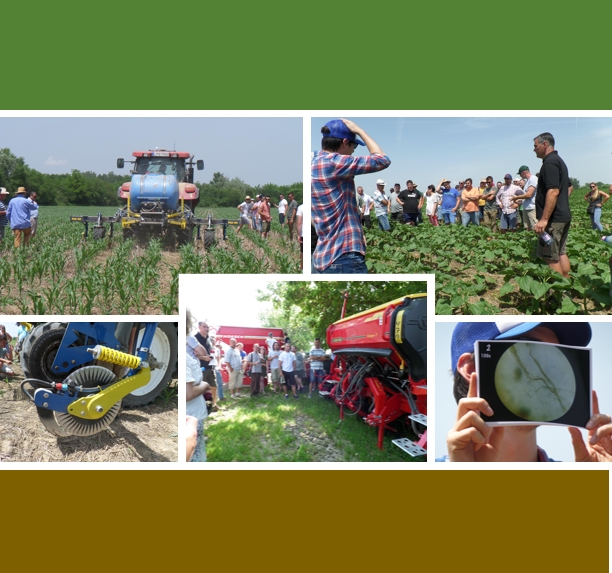 Preserving soil quality and soil health in arable farming: The case study in Hungary