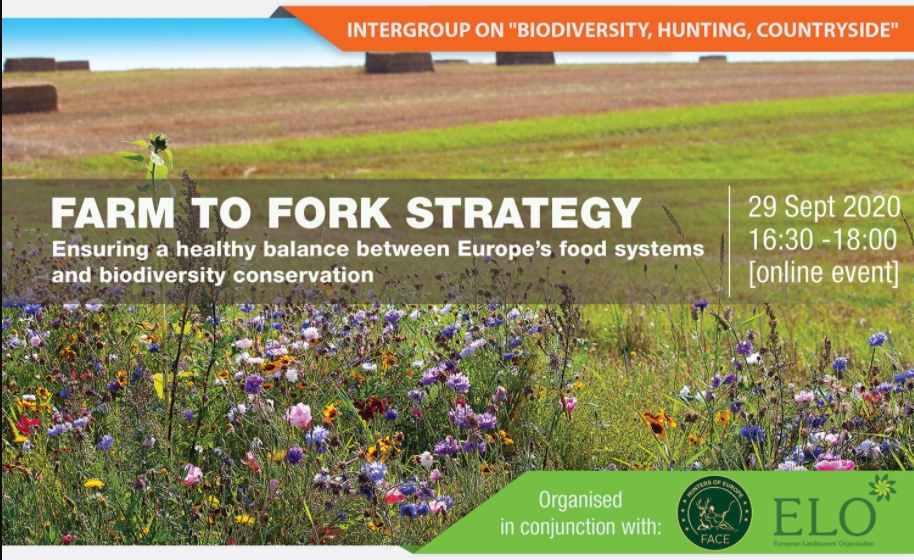 “Farm to Fork” Strategy: Ensuring a healthy balance between Europe’s food systems and biodiversity conservation 29 SEPTEMBER 2020 