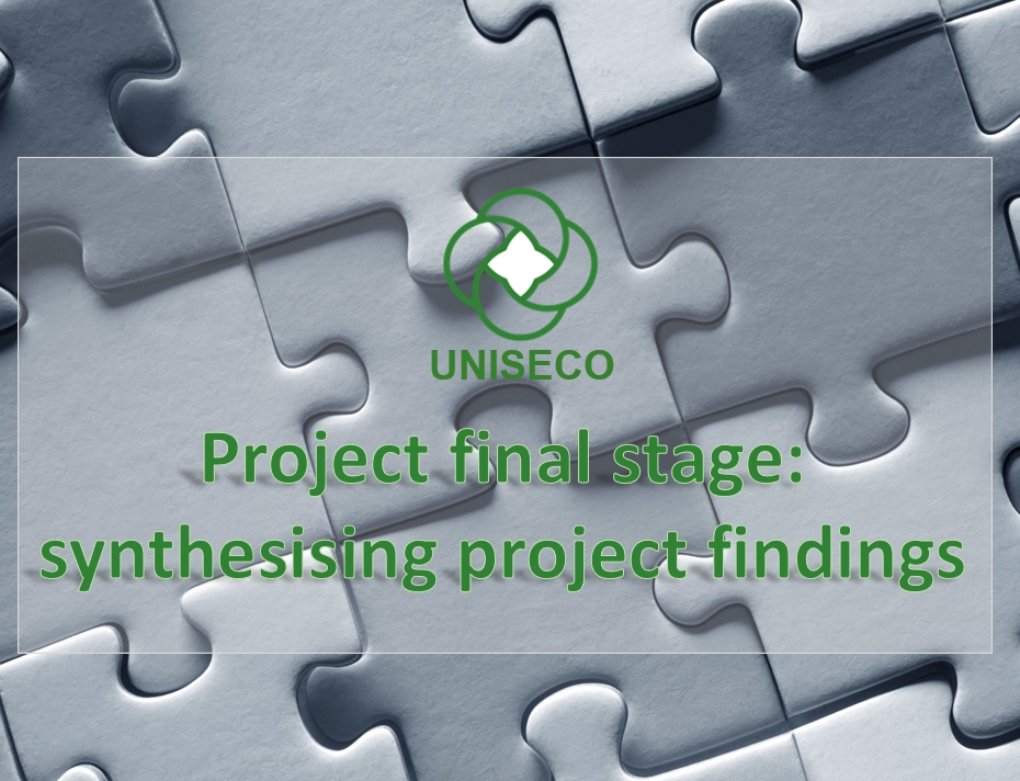 Project final stage: synthesising project findings