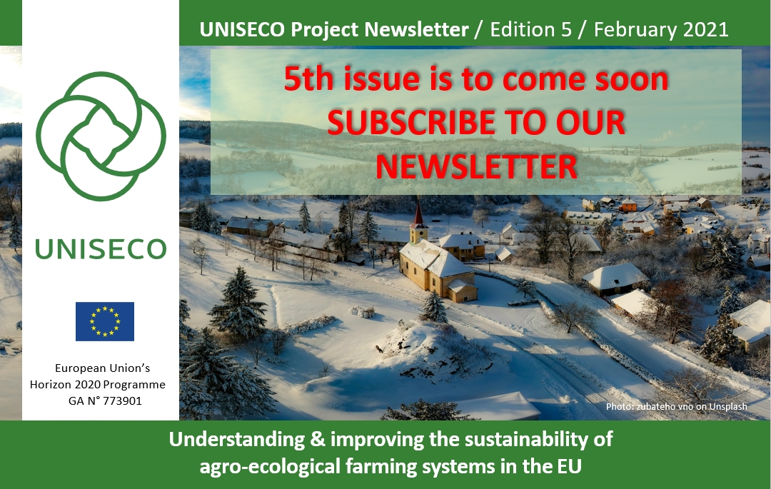 5TH UNISECO NEWSLETTER IS OUT SOON - SUBSCRIBE TO OUR NEWSLETTER