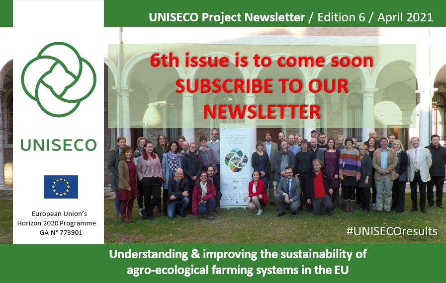 6TH UNISECO NEWSLETTER IS OUT SOON - SUBSCRIBE TO OUR NEWSLETTER