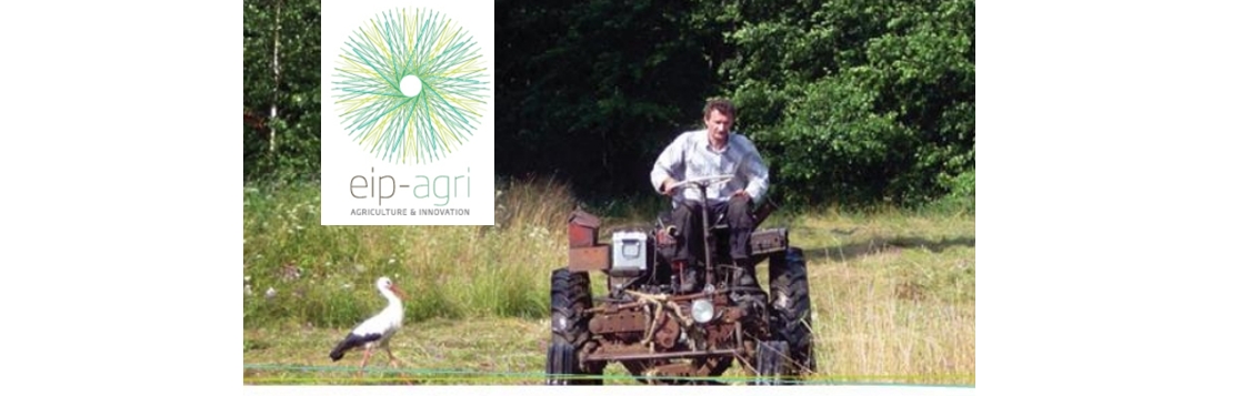 EIP-AGRI Workshop ‘Small is smart’ - Innovative solutions for small agricultural and forestry holdings