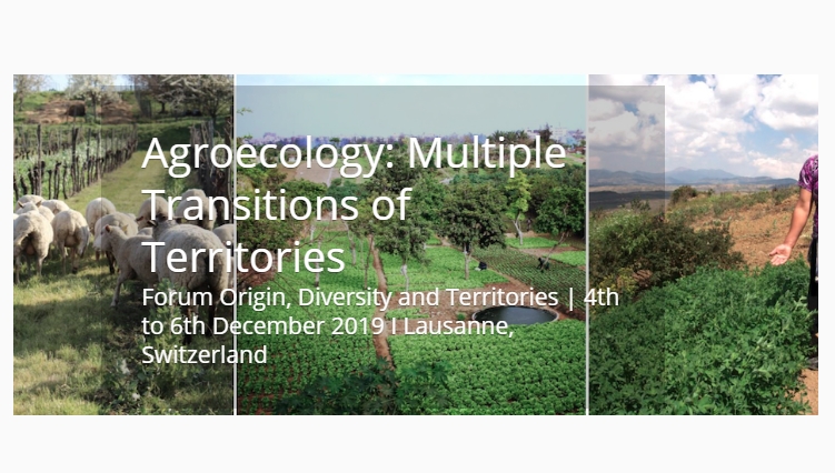 ODT Forum: AGROECOLOGY: Multiple Transitions of territories, Lausanne, 4 - 6 December 2019