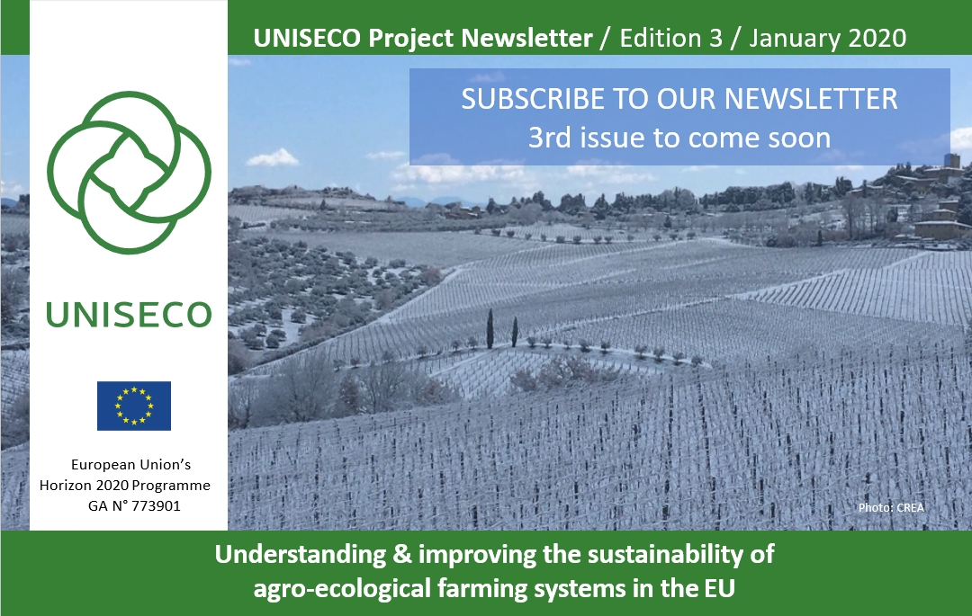 3rd UNISECO NEWSLETTER IS OUT SOON - SUBSCRIBE TO OUR NEWSLETTER