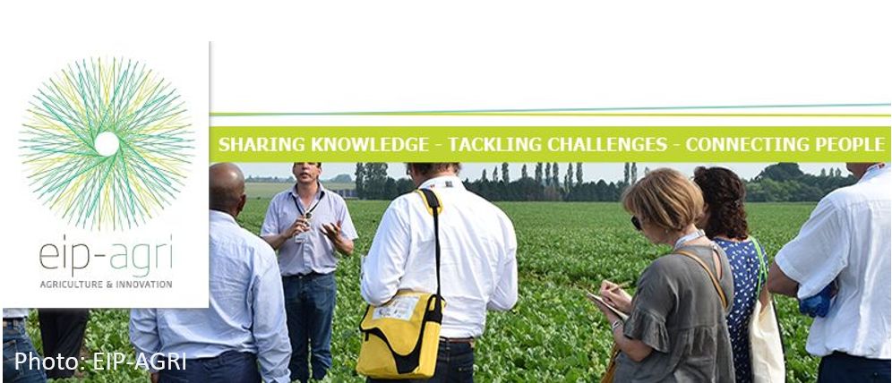 EIP-AGRI online Seminar: “CAP Strategic Plans: the key role of Agricultural Knowledge and Innovation Systems (AKIS) in Member States” - Online seminar