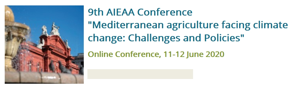  UNISECO at the 9th AIEAA Conference in June 2020