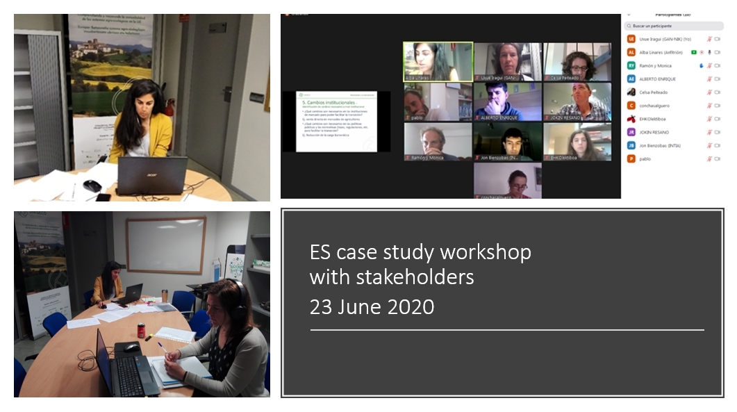 ES case study: workshop on co-construction of transition management strategies 
